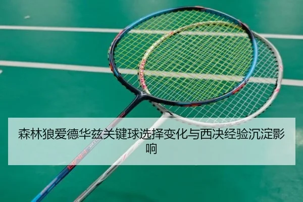 森林狼爱德华兹关键球选择变化与西决经验沉淀影响