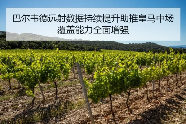巴尔韦德远射数据持续提升助推皇马中场覆盖能力全面增强